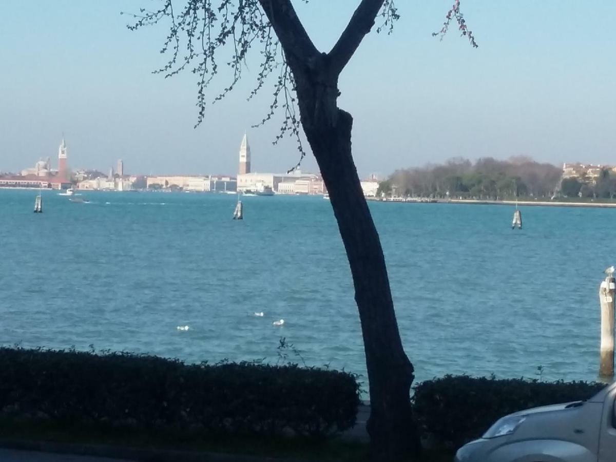 Bellavista Sanmarco Venice And Lagoon View Lido de Venecia Exterior foto
