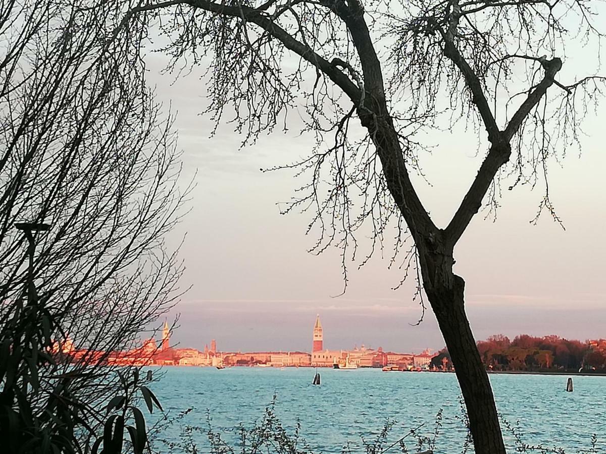 Bellavista Sanmarco Venice And Lagoon View Lido de Venecia Exterior foto